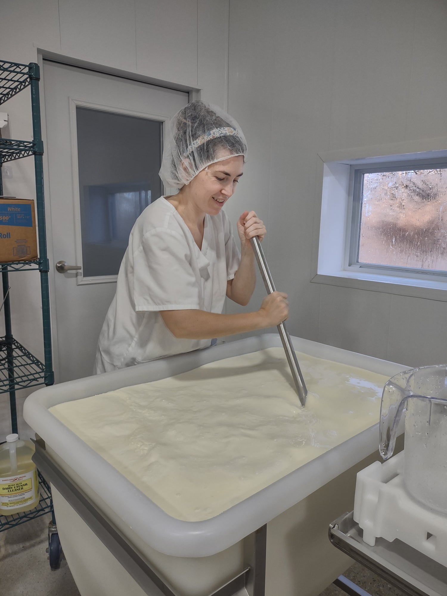 Making small batch organic cheese from grass-fed cows in our on farm creamery